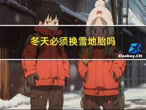 冬天必须换雪地胎吗