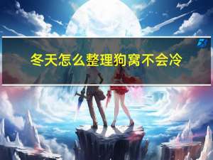 冬天怎么整理狗窝不会冷
