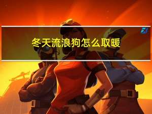 冬天流浪狗怎么取暖