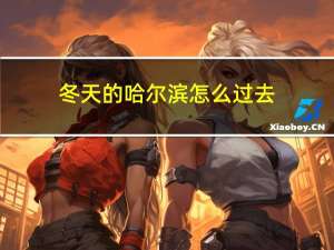 冬天的哈尔滨怎么过去