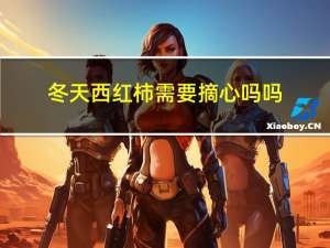 冬天西红柿需要摘心吗吗