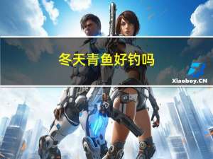 冬天青鱼好钓吗