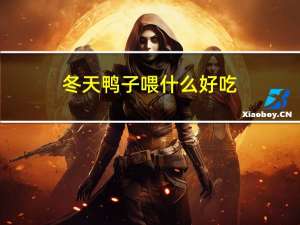 冬天鸭子喂什么好吃
