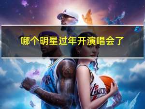 哪个明星过年开演唱会了