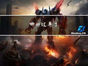 哪好过年了