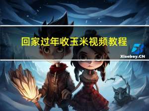 回家过年收玉米视频教程