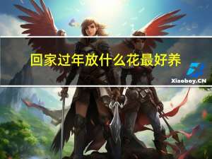 回家过年放什么花最好养