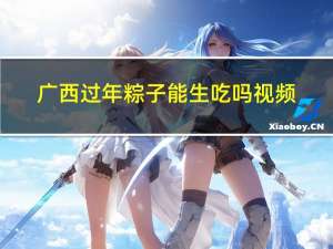 广西过年粽子能生吃吗视频