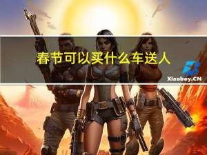 春节可以买什么车送人