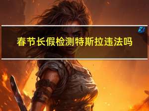 春节长假检测特斯拉违法吗
