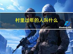村里过年的人叫什么