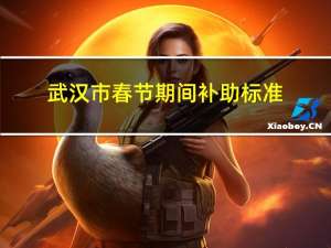 武汉市春节期间补助标准