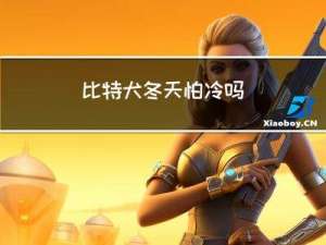比特犬冬天怕冷吗