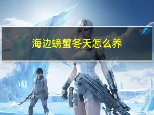 海边螃蟹冬天怎么养