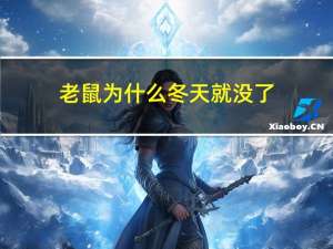 老鼠为什么冬天就没了