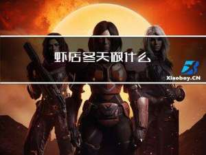 虾店冬天做什么