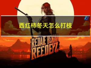 西红柿冬天怎么打枝