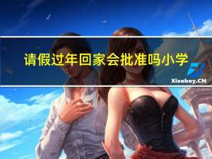 请假过年回家会批准吗小学