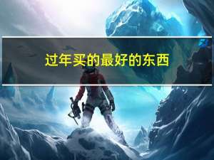 过年买的最好的东西