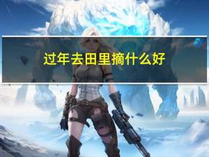 过年去田里摘什么好