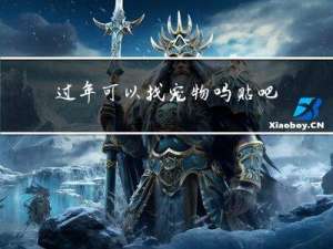 过年可以找宠物吗贴吧