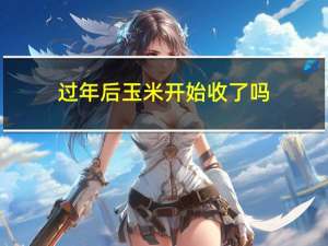 过年后玉米开始收了吗