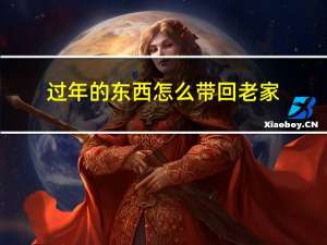 过年的东西怎么带回老家