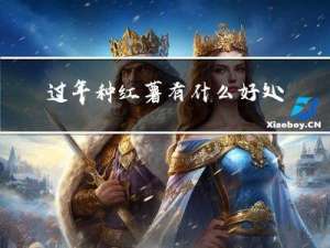 过年种红薯有什么好处