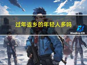 过年返乡的年轻人多吗