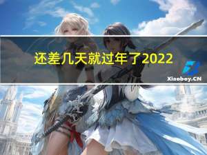还差几天就过年了2022