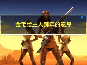 金毛给主人拜年的意思