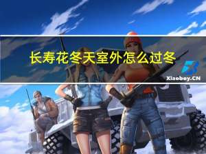 长寿花冬天室外怎么过冬