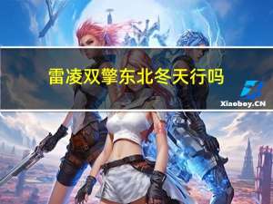 雷凌双擎东北冬天行吗