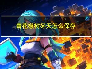 青花椒树冬天怎么保存