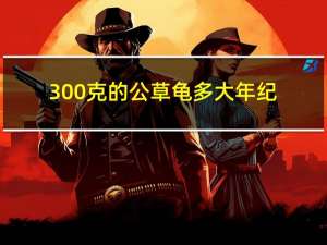 300克的公草龟多大年纪