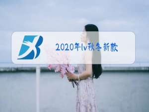 2020年lv秋冬新款女装正品