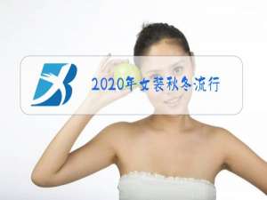 2020年女装秋冬流行款式中老年装女款