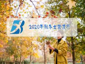 2020年秋冬女装流行趋势和图案