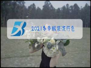 2021冬季服装流行色