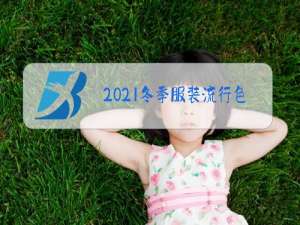 2021冬季服装流行色是什么颜色
