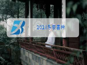 2021冬装面料