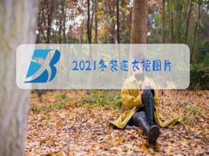 2021冬装连衣裙图片