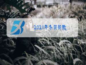 2021年冬装新款