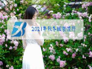 2021年秋冬服装流行趋势分析报告