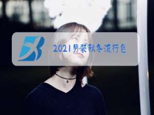 2021男装秋冬流行色