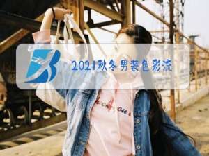 2021秋冬男装色彩流行趋势