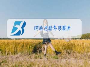 阿迪达斯冬装图片