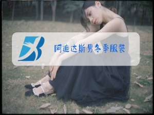 阿迪达斯男冬季服装