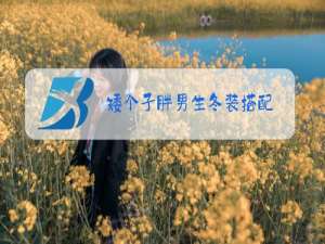 矮个子胖男生冬装搭配