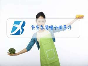 爸爸冬装哪个牌子好
